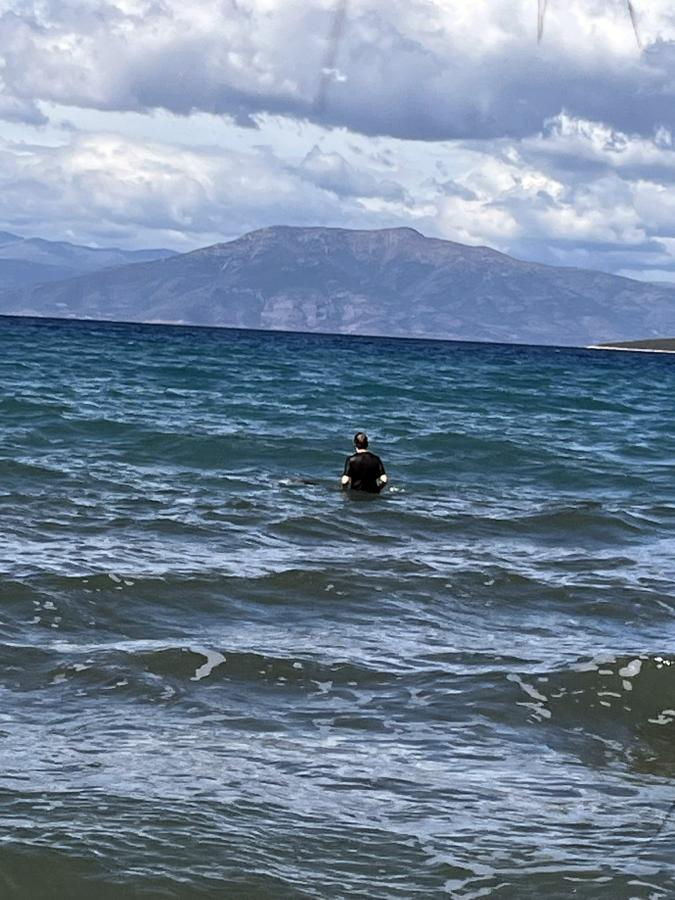Ναύπλιο/Δελφίνι βγήκε στα ρηχά στην παραλία των Ιρίων