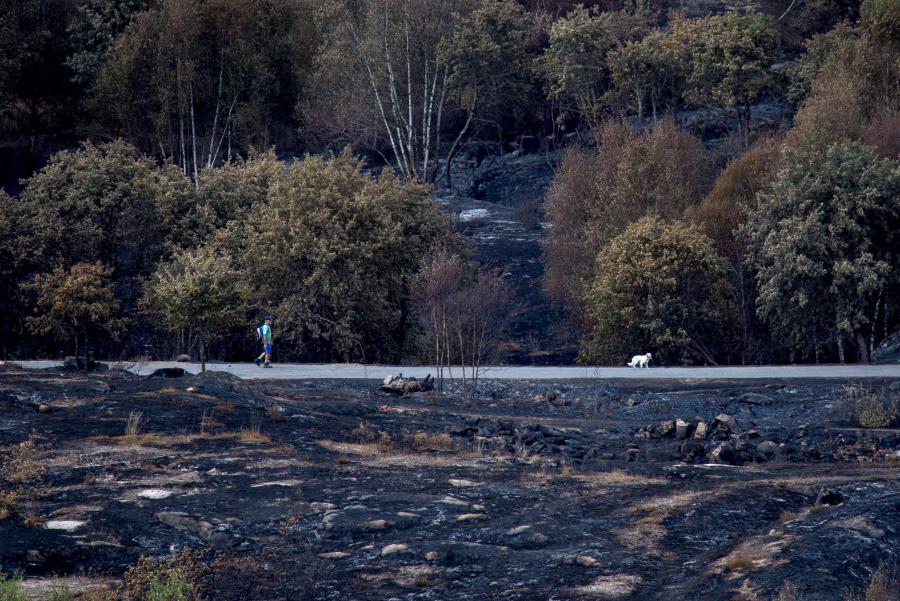 ΙΣΠΑΝΙΑ ΠΥΡΚΑΓΙΕΣ ΑΝΔΡΑΣ ΣΚΥΛΟΣ