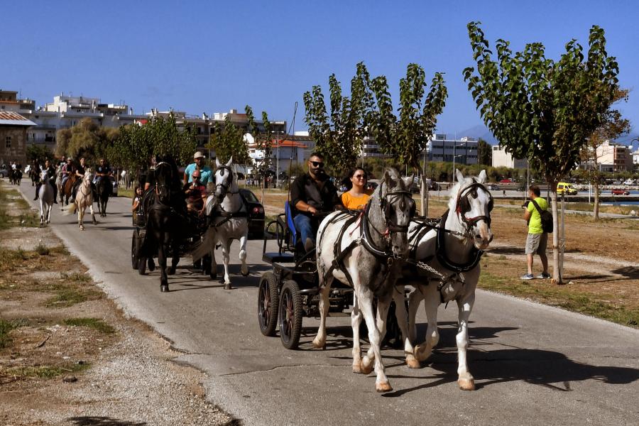 ΚΟΡΙΝΘΟΣ ΑΛΟΓΑ ΑΜΑΞΕΣ