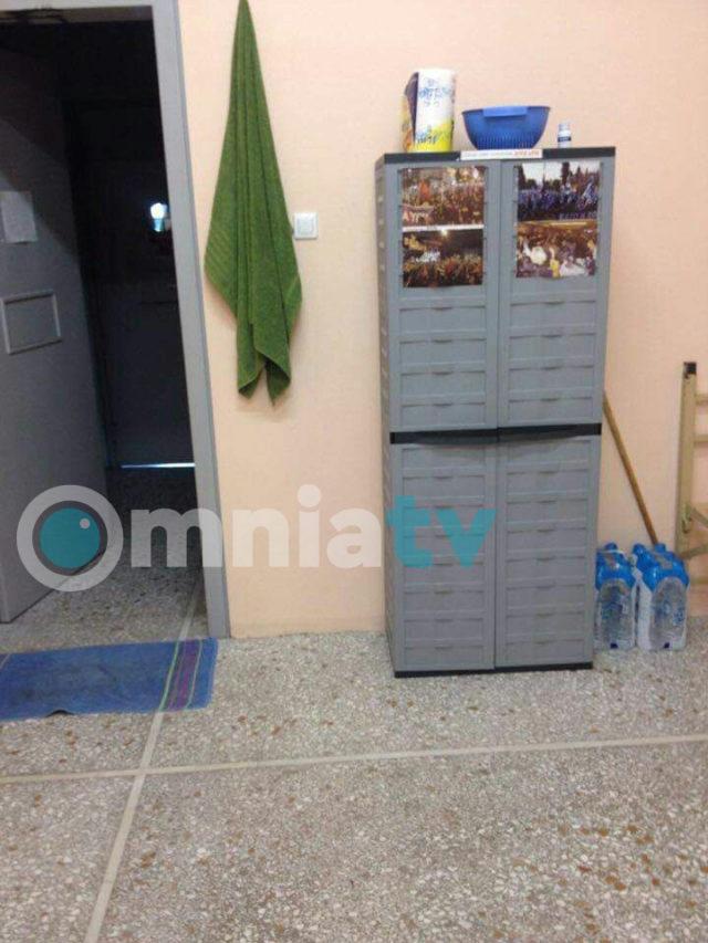ΚΕΛΙΑ ΧΡΥΣΗ ΑΥΓΗ 2013