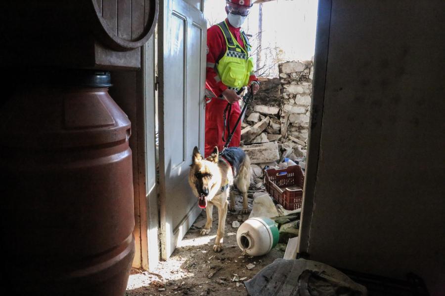 ΣΕΙΣΜΟΣ ΕΛΑΣΣΟΝΑ ΖΗΜΙΕΣ