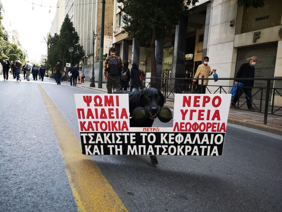 φοιτητές