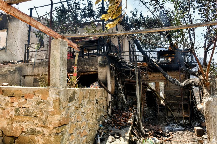 ΣΧΙΝΟ ΚΑΜΜΕΝΟ ΣΠΙΤΙ