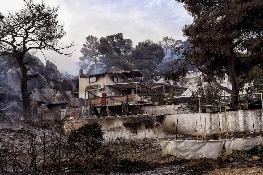 ΣΧΙΝΟ ΚΑΜΜΕΝΟ ΣΠΙΤΙ