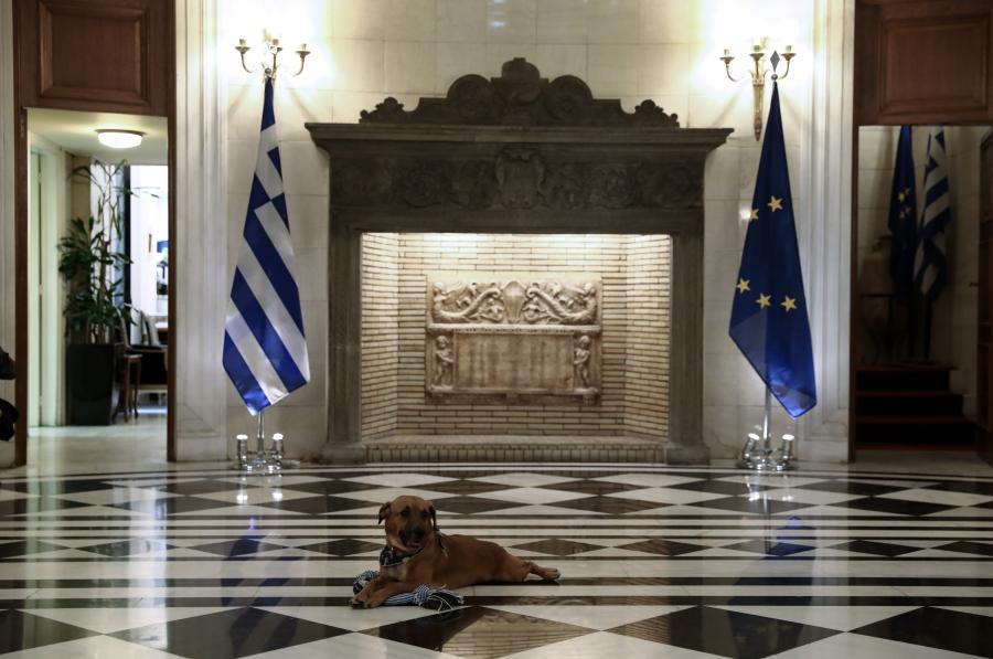 ΣΚΥΛΟΣ ΜΗΤΣΟΤΑΚΗ ΜΑΞΙΜΟΥ