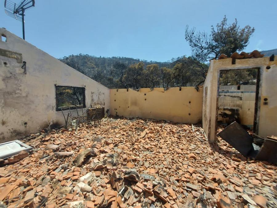 Γεράνεια Όρη Βαμβακιές