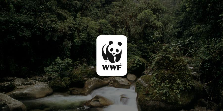 ΒΕΒΕΕΦ WWF