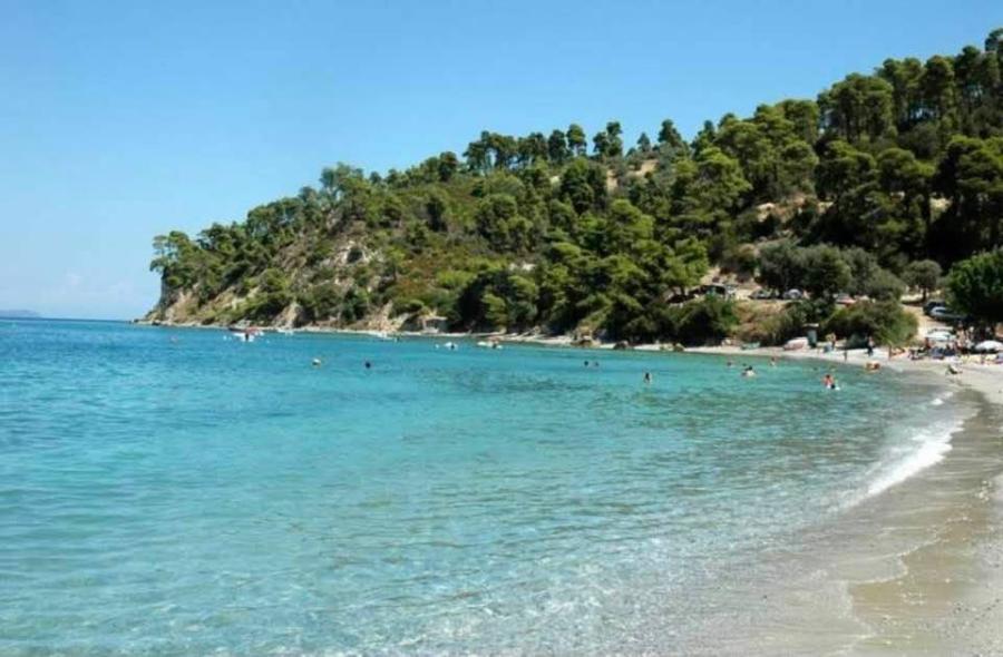 ΑΓΡΙΟΒΟΤΑΝΟ