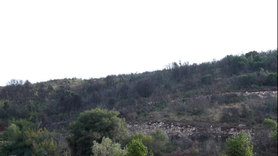 Ερημίτης