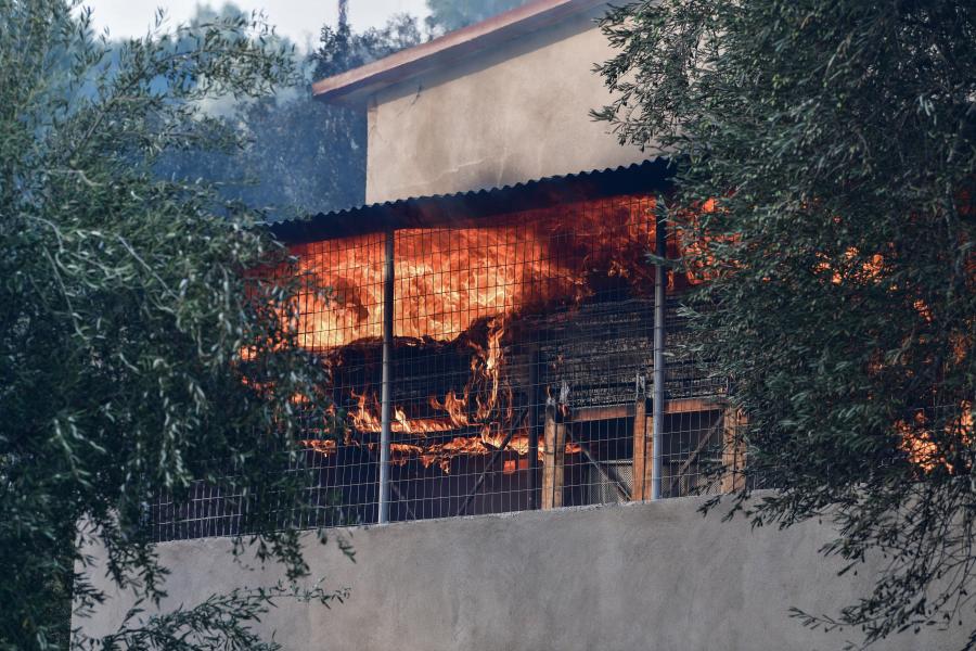 ΦΩΤΙΑ ΓΟΡΤΥΝΙΑ