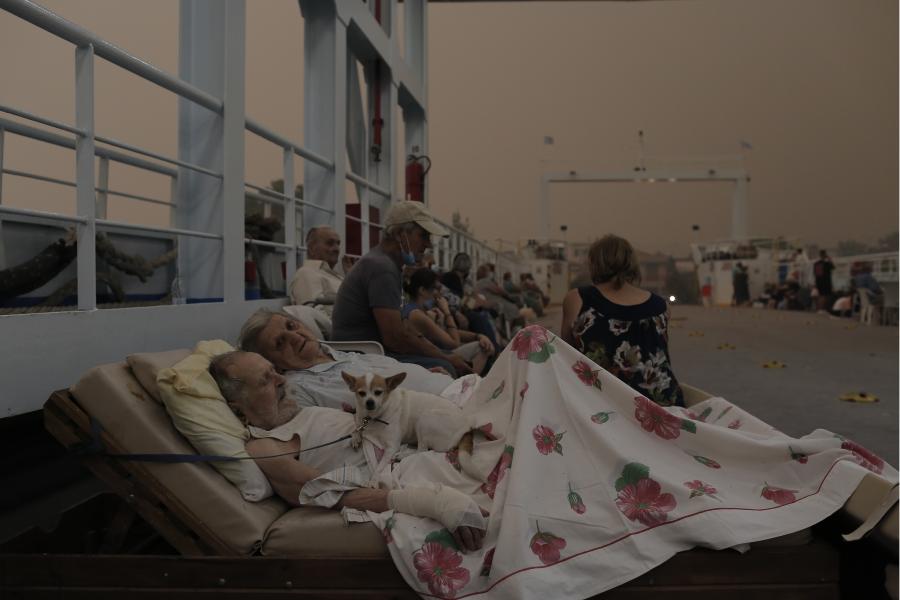 ΗΛΙΚΙΩΜΕΝΟ ΖΕΥΓΑΡΙ ΠΕΥΚΙ ΕΥΒΟΙΑ