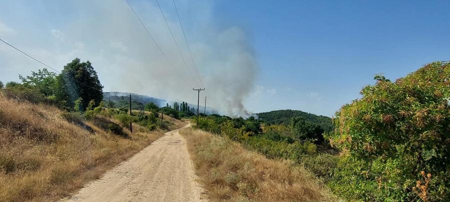 φωτιά έβρος