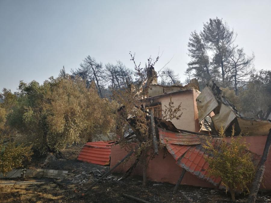 Πυρκαγιά Εύβοια Λίμνη