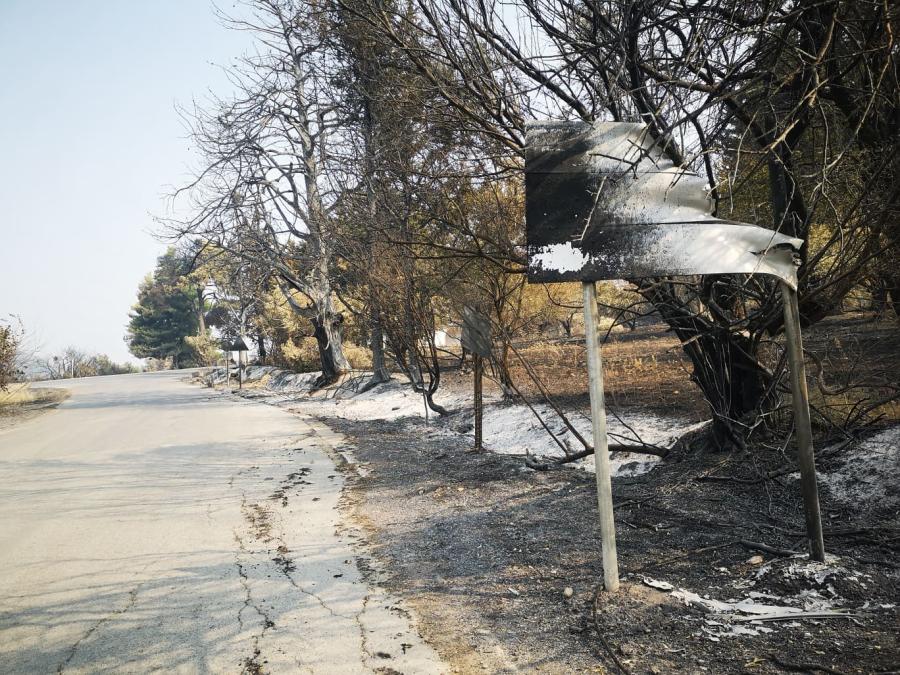 πυρκαγιά Εύβοια Λίμνη