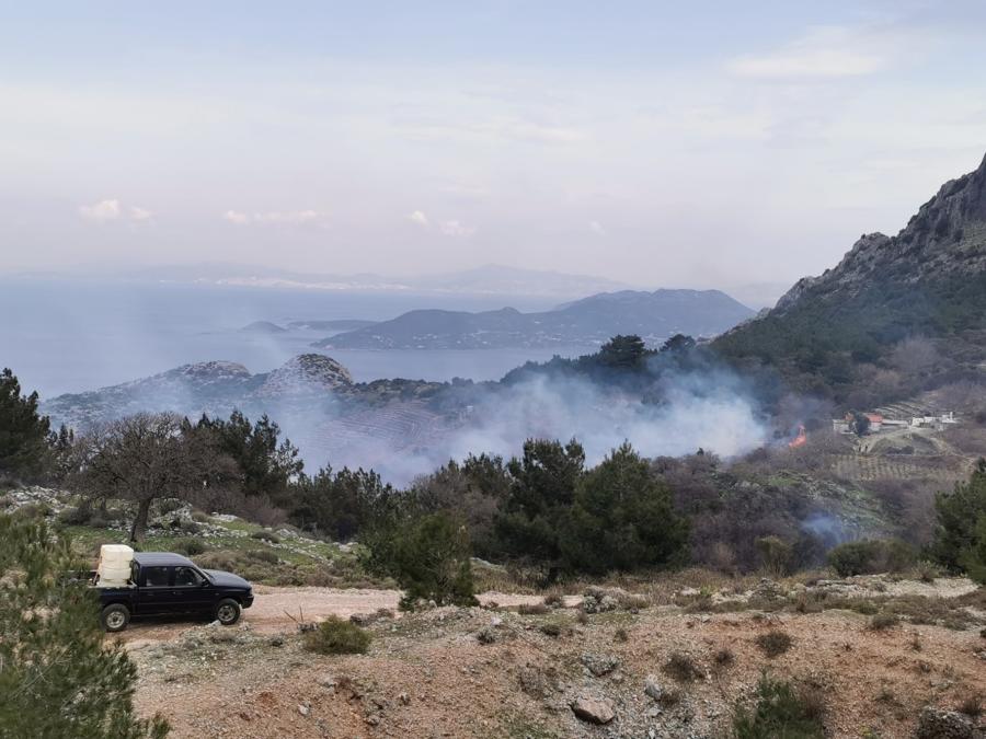 Σάμος φωτιά