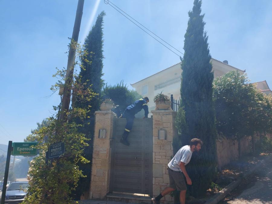 Παλλήνη