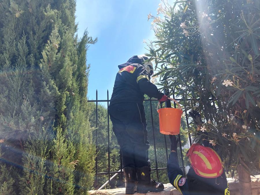 Παλλήνη