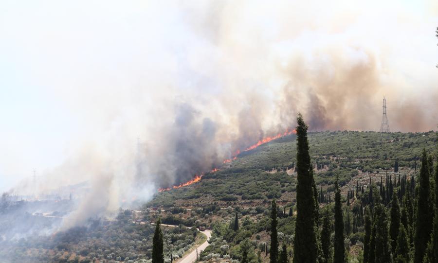 φωτιά Δίστομο