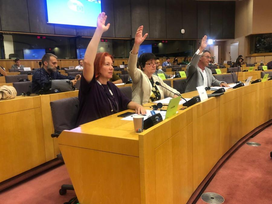 Ο Κώστας Αρβανίτης στο Ευρωκοινοβούλιο