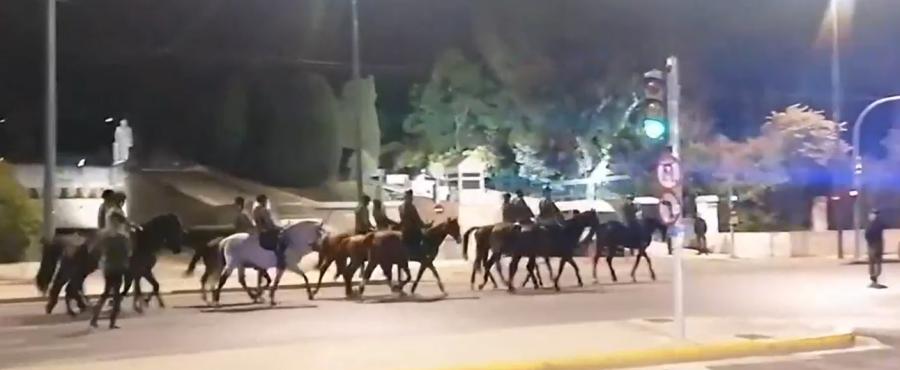 Άλογα στο Σύνταγμα