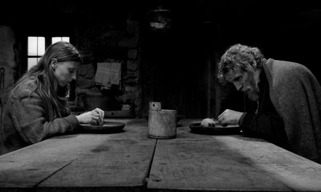 TURIN HORSE