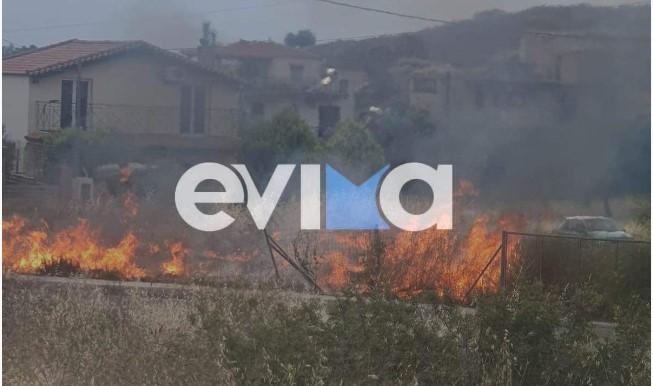 Φωτιά