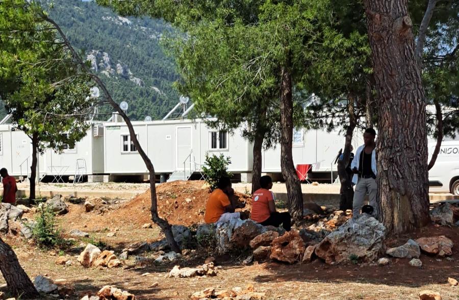 Μετανάστες κάτω από δέντρο