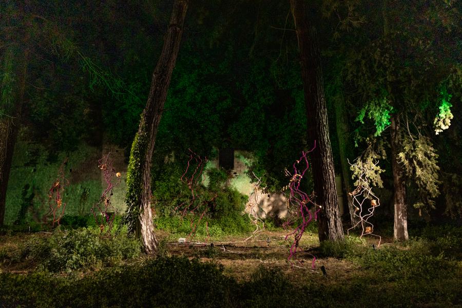 ΠΛΑΣΜΑΤΑ ΣΤΕΓΗ ΓΡΑΜΜΑΤΩΝ ΚΑΙ ΤΕΧΝΩΝ ΙΩΑΝΝΙΝΑ