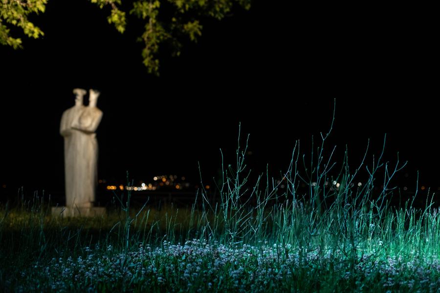 ΠΛΑΣΜΑΤΑ ΣΤΕΓΗ ΓΡΑΜΜΑΤΩΝ ΚΑΙ ΤΕΧΝΩΝ ΙΩΑΝΝΙΝΑ