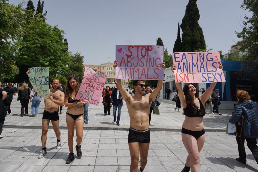 Δημήτρης Ρογγίτης διαμαρτυρία