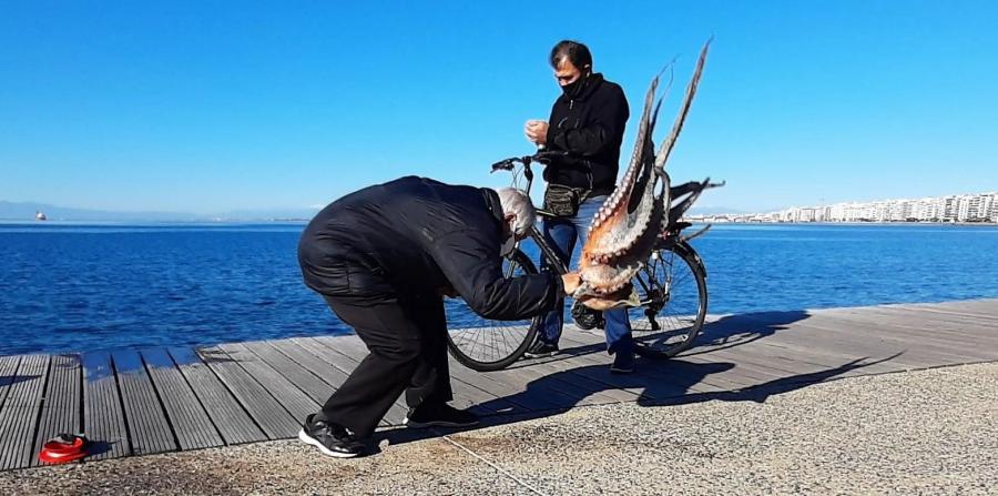 Χταπόδι