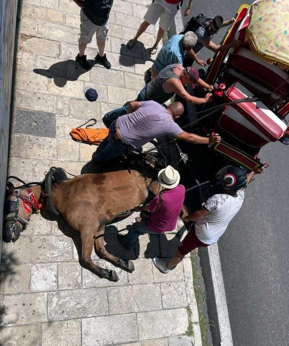 Άλογο