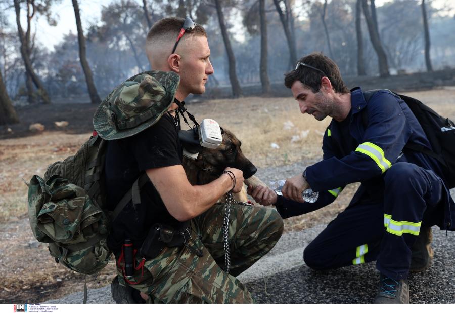 Πυροσβέστης και εθελοντής αγκαλιά με σκύλο που διέσωσαν