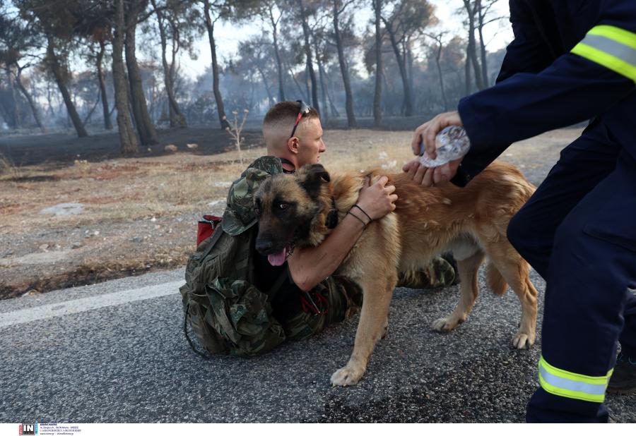 εθελοντής αγκαλιά με σκύλο που διέσωσε μαζί με πυροσβέστη