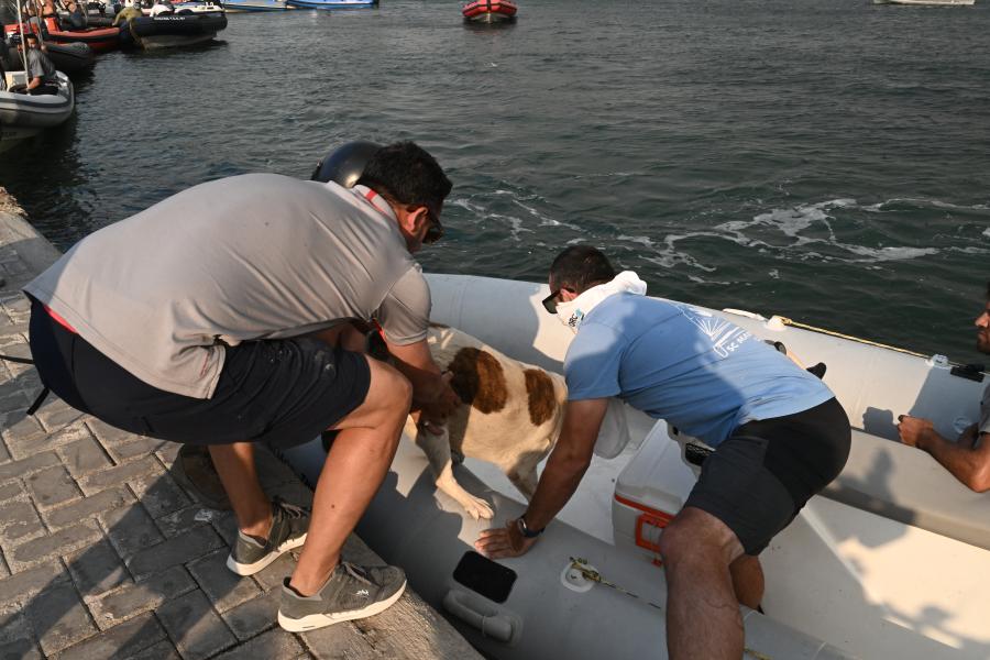 εκκένωση με βάρκα από Νέα Αγχίαλο 