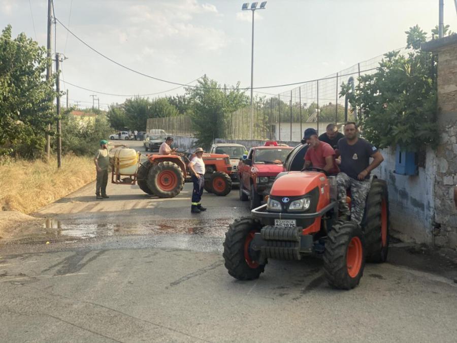 Λακωνία