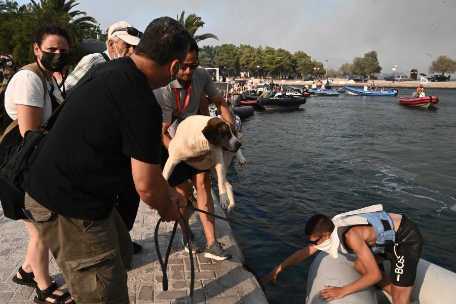 Μαγνησία