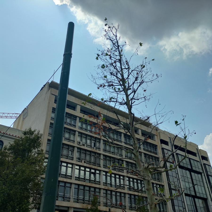 πλατανί 12