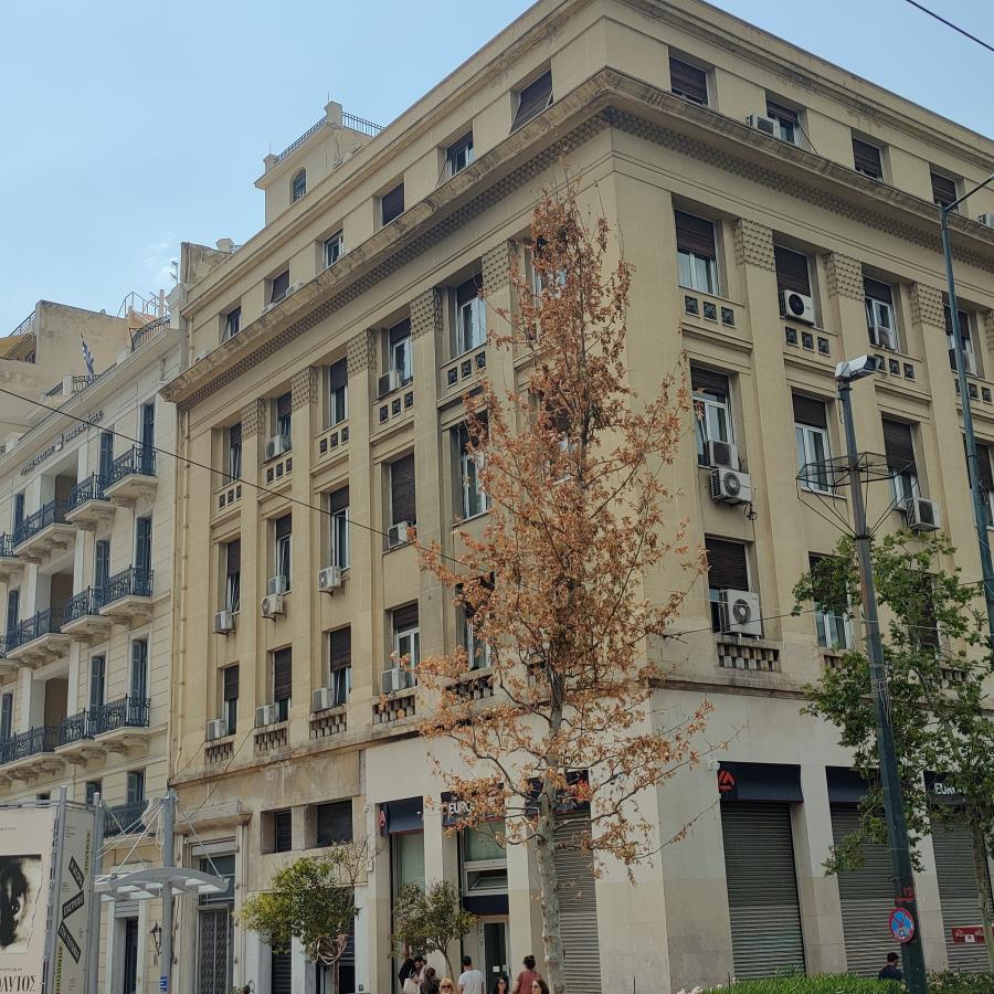 πλατάνι 13