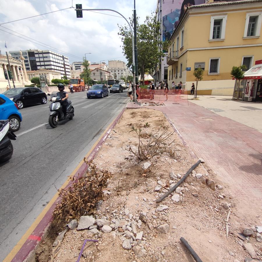 πλατάνι 9