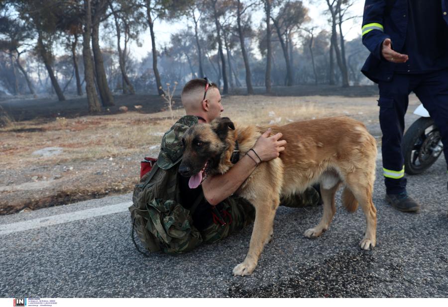 εθελοντής αγκαλιά με σκύλο που διέσωσε μαζί με πυροσβέστη