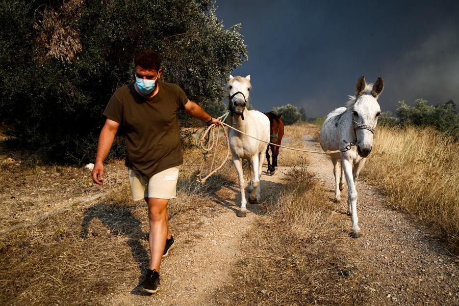 Άλογα φωτιά
