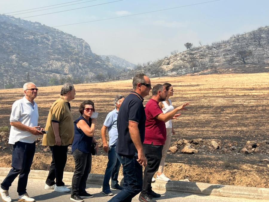 Έφη Αχτσιόγλου Φυλή Άνω Λιόσια