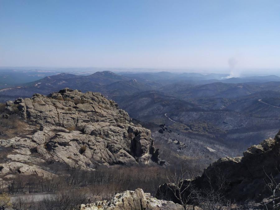 Εθνικό παρκο Δαδιάς 2