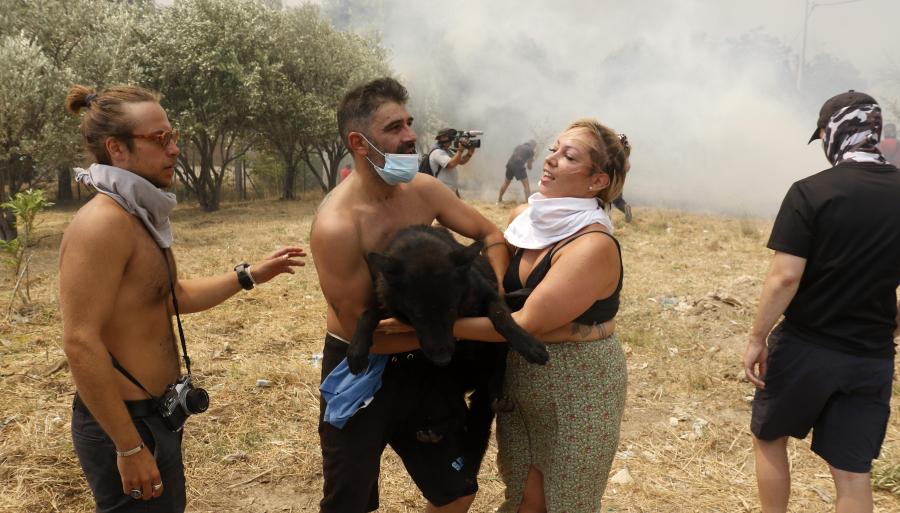 Σκύλος φωτιά