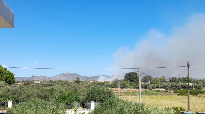 καπνός από φωτιά στον Μαραθώνα