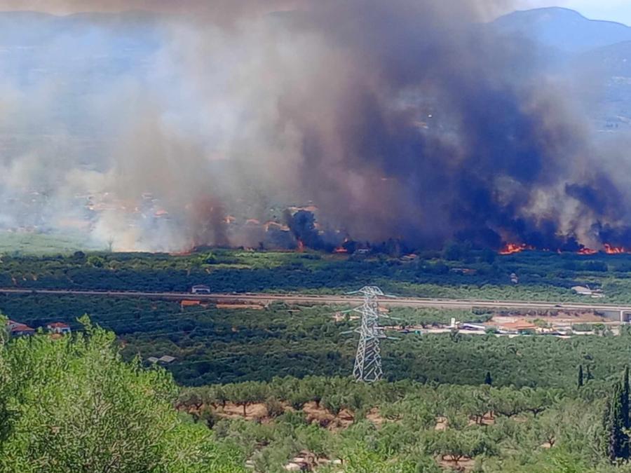 Καλαμάτα φωτιά Ασπροπυλιά