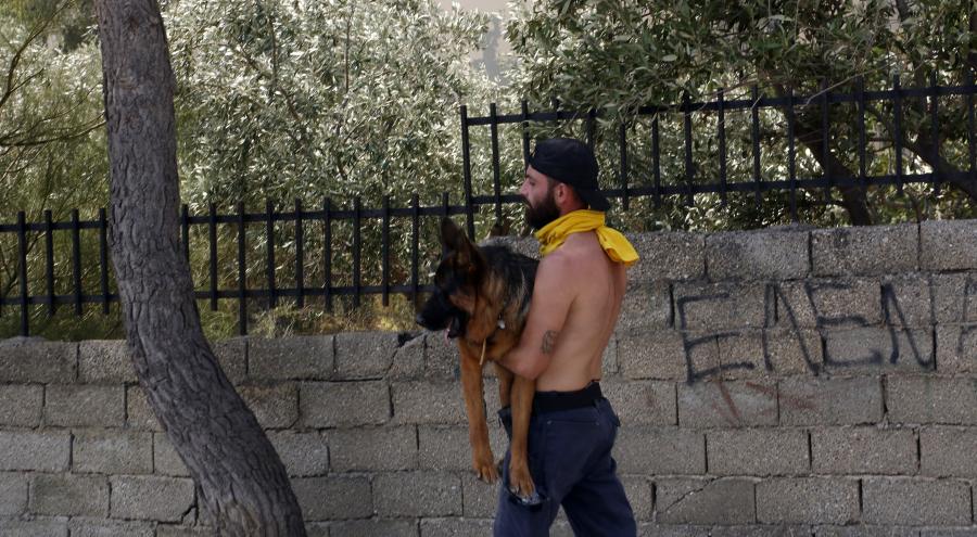Διάσωση σκύλου από φωτιά