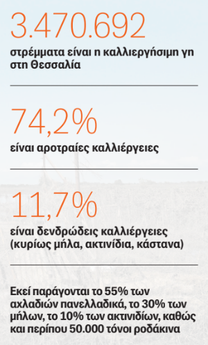 Θεσσαλία infographic