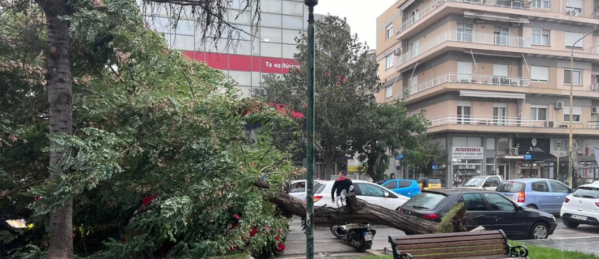 κακοκαιρία Έβρος